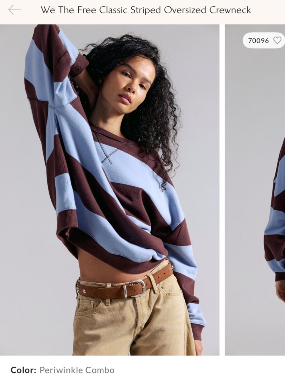 We The Free Classic Oversized Stripe Crewneck
